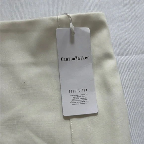 NWT Canton Walker BodyCon Cream Mini Skirt - Picture 2 of 6